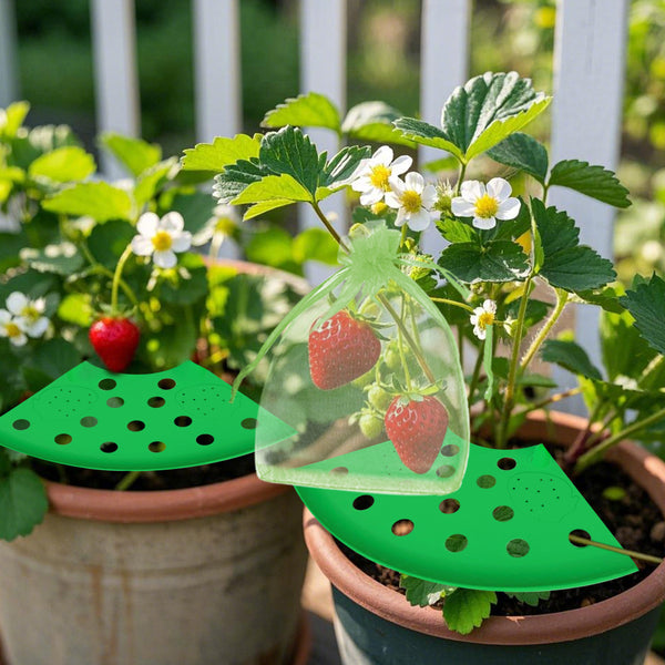 Complete Strawberry Growing Kit - Support Racks & Pest Protection